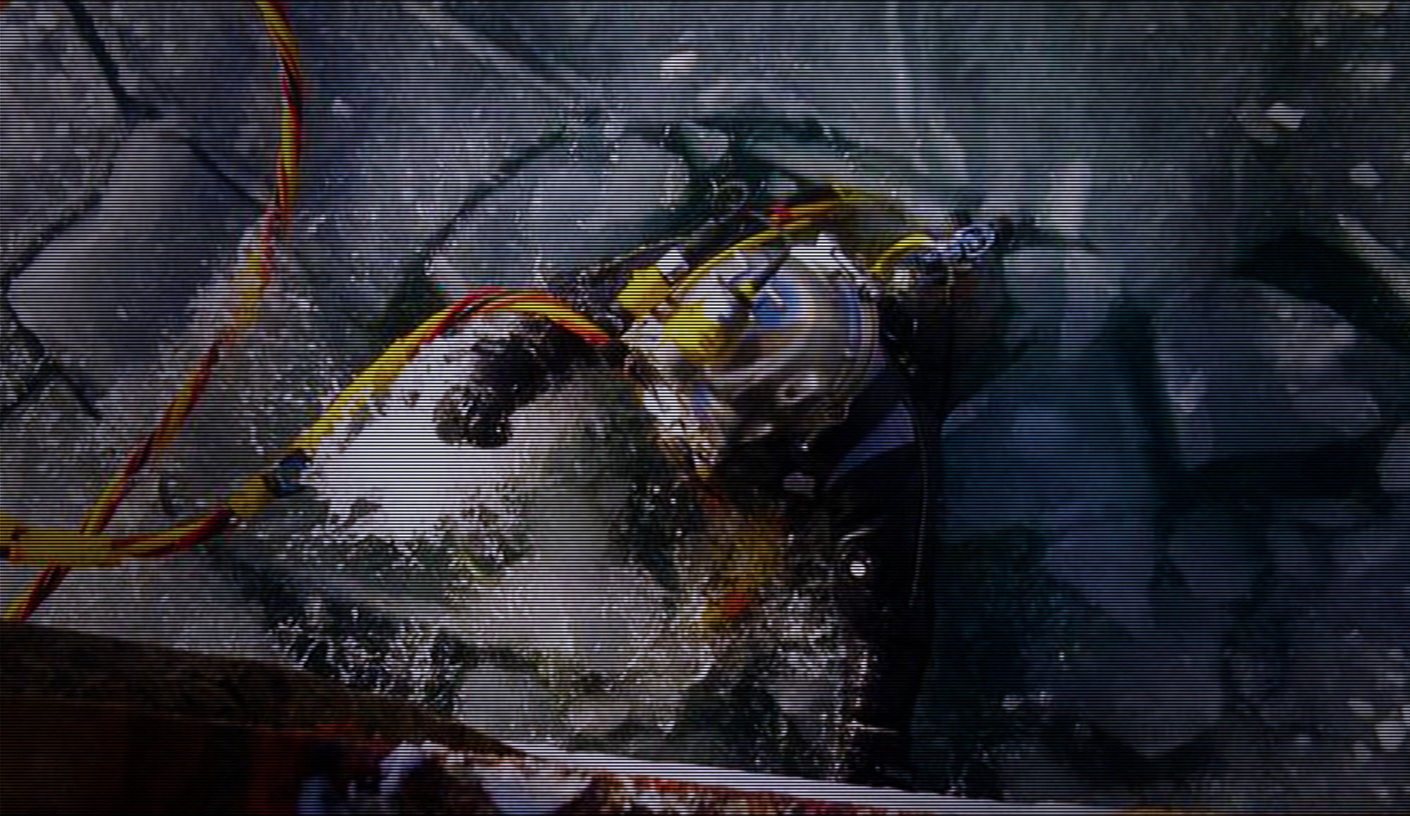 CDMS-Atlantic-Slider-3a Image of CDMS diver in ice water about to perform various marine services.